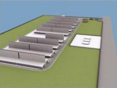 Termomanaus / Pau Ferro (PE) 8