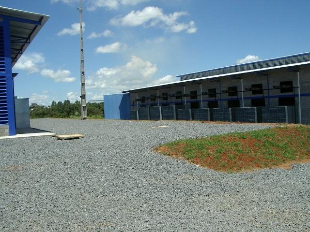 UTE Daia 4