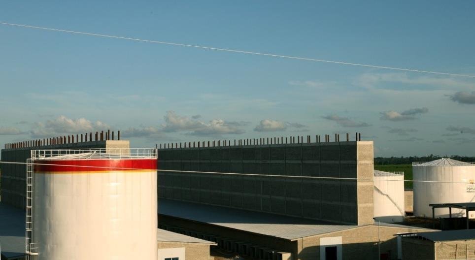 Termomanaus / Pau Ferro (PE) 4